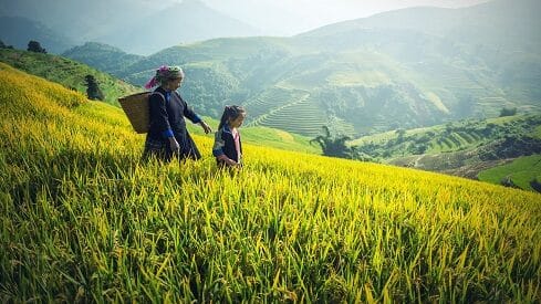 المحيط الجغرافي والطبيعي