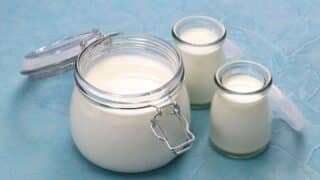 homemade kefir yogurt