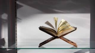 Open book on a wooden stand on glass shelf with shadows and plain background.