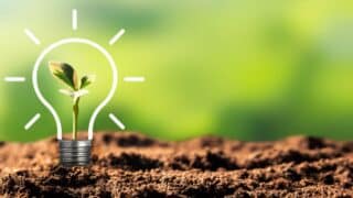 Plant in soil with light bulb outline, symbolizing growth and innovation; green blurred background.