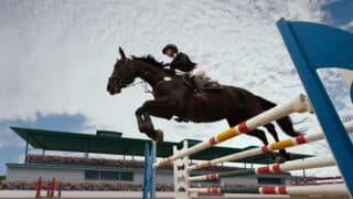 Equestrian jumping event with rider mid-air, stadium crowd and cloudy sky backdrop.