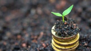 A green seedling grows in soil on stacked gold coins with a blurred earthy background.