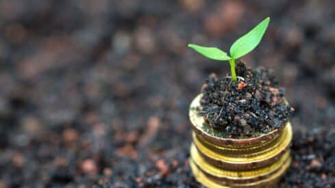 A green seedling grows in soil on stacked gold coins with a blurred earthy background.