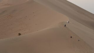 People walking on large sand dune in expansive desert with sparse vegetation.