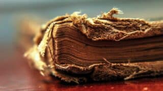 Close-up of a frayed spine and pages of an old, worn book with a textured cover and blurred background.