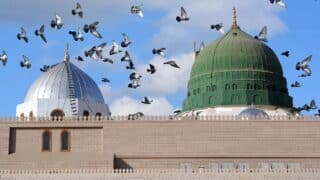 Two large domes, green and silver prophet mosque , above a wall; pigeons flying in blue sky background.