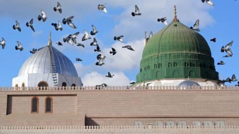 Two large domes, green and silver prophet mosque , above a wall; pigeons flying in blue sky background.